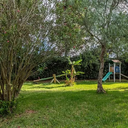 Bilocale10 - Frassanito كونكا سبيكيولا